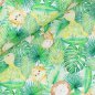 Preview: Jersey Jungle Tiere