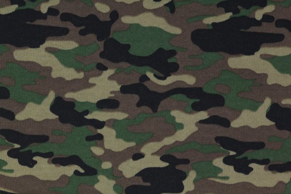 Preview: Sweat Camouflage grün