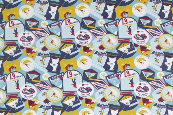 Preview: French Terry Winter Ski weich angeraut