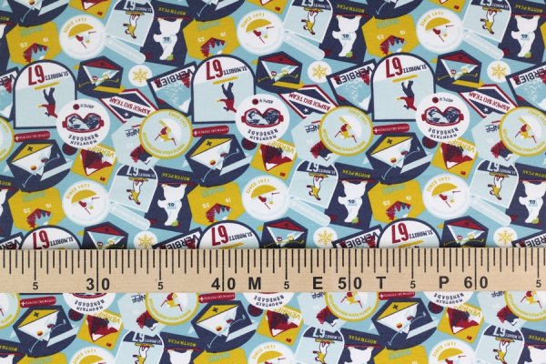 Preview: French Terry Winter Ski weich angeraut