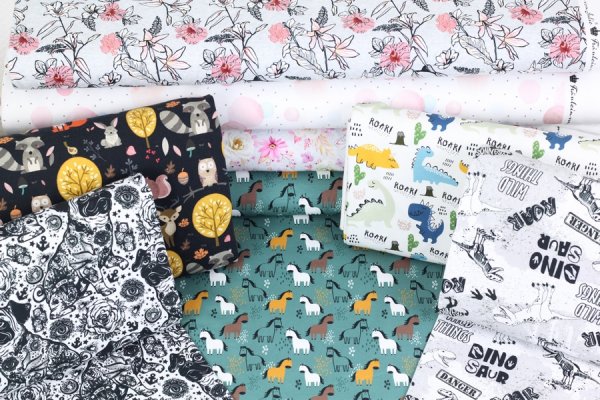 Preview: Sommersweat T-Rex Dino Fräulein v. Julie