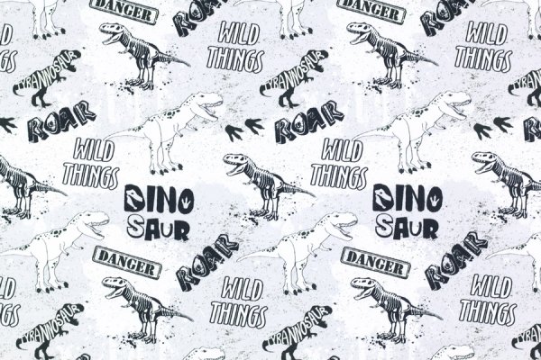 Preview: Sommersweat T-Rex Dino Fräulein v. Julie