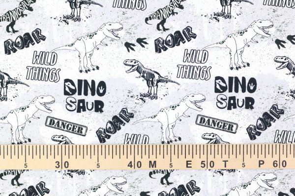 Preview: Sommersweat T-Rex Dino Fräulein v. Julie